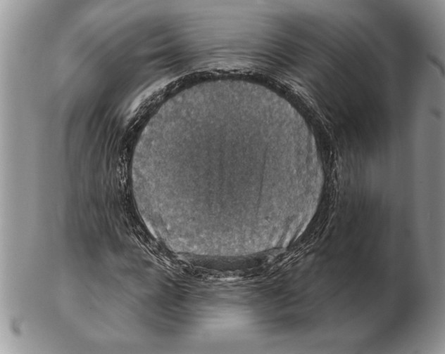 X0000102400920200808221844
