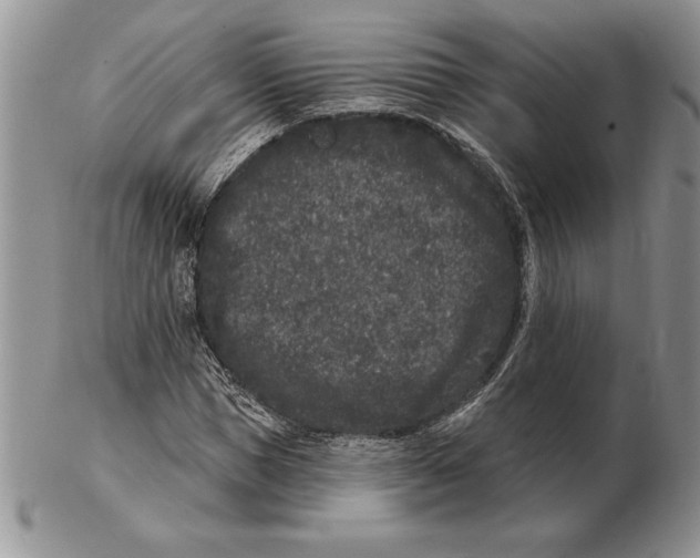 X0000102400921200808221844