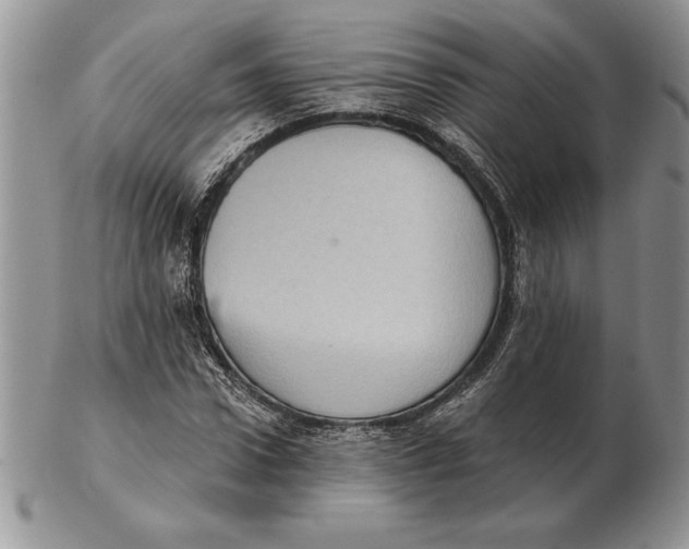 X0000102400922200808221844