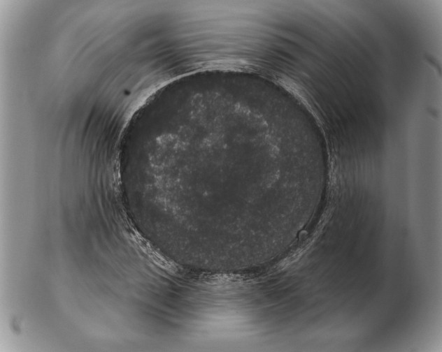X0000102400923200808221844