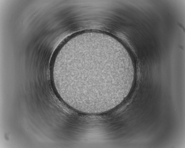 X0000102400924200808221844