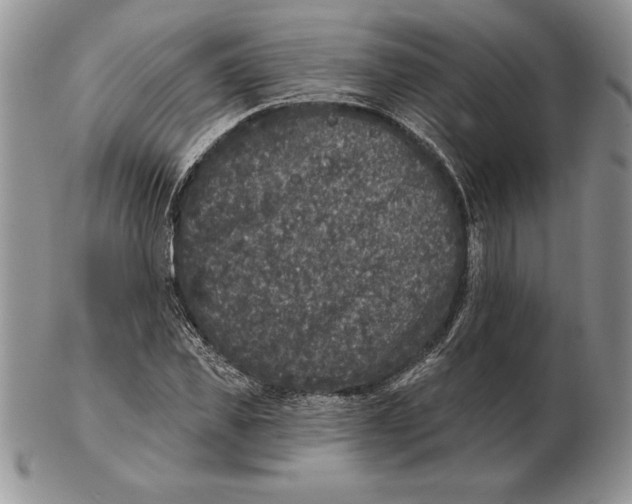 X0000102400925200808221844