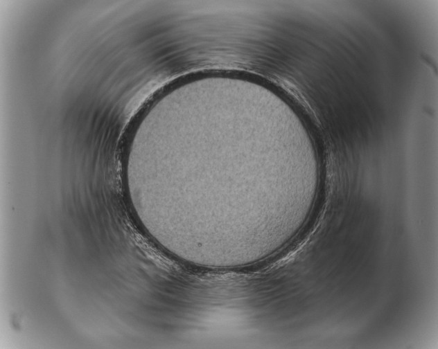 X0000102400926200808221844