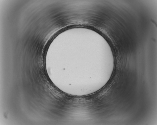 X0000102400927200808221844