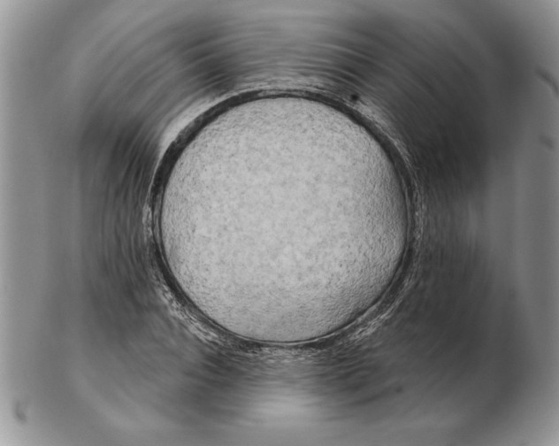 X0000102400928200808221844