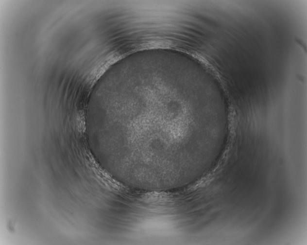 X0000102400929200808221844