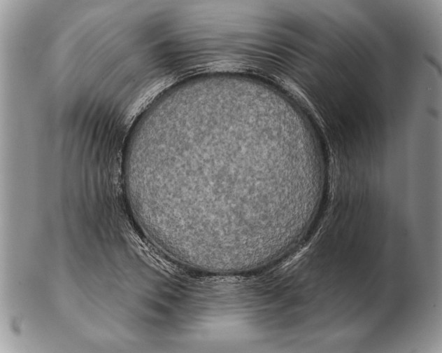 X0000102400930200808221844