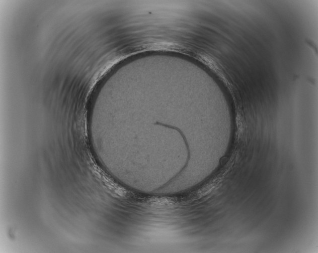 X0000102400931200808221844