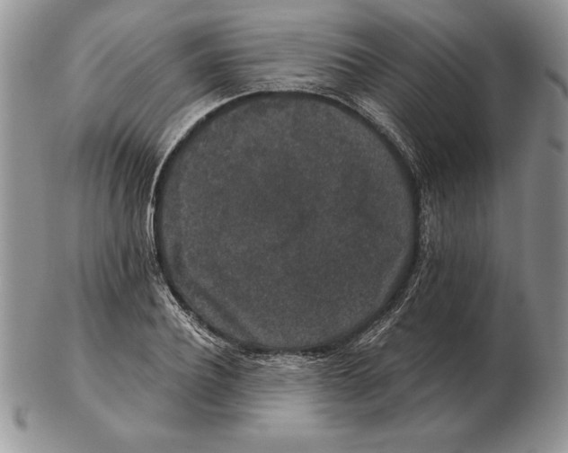 X0000102400932200808221844