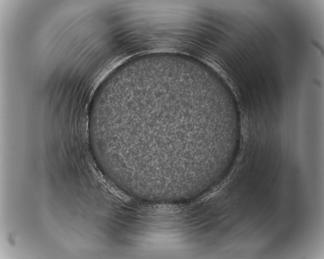 X0000102400933200808221844