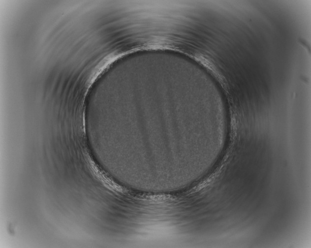 X0000102400934200808221844