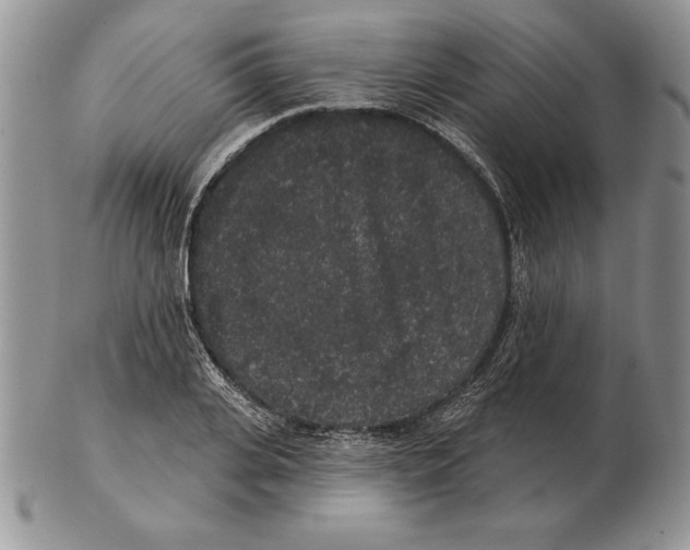 X0000102400935200808221844