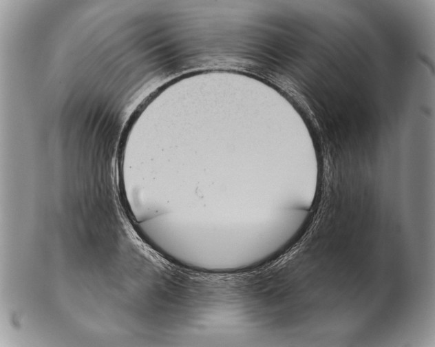 X0000102400936200808221845