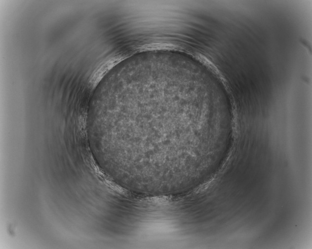 X0000102400937200808221845