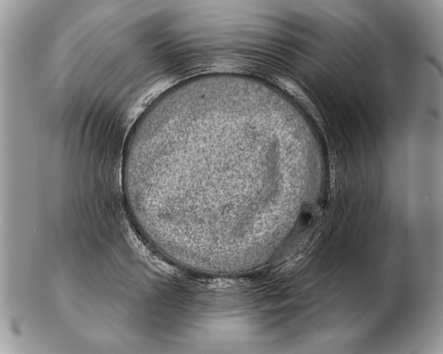 X0000102400938200808221845