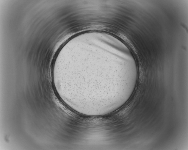 X0000102400939200808221845