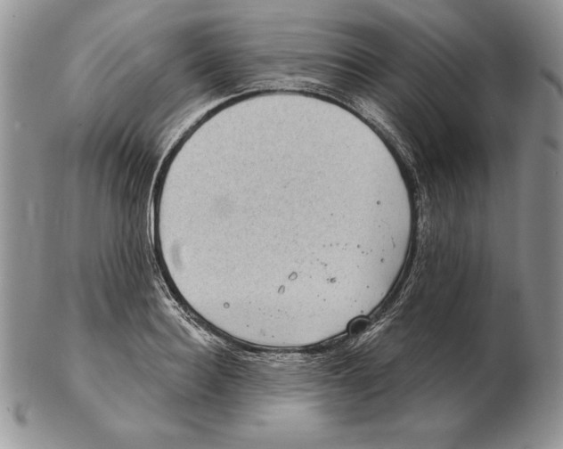X0000102400940200808221845