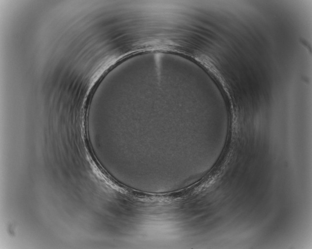 X0000102400941200808221845