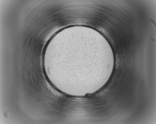 X0000102400942200808221845