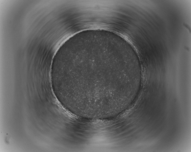 X0000102400943200808221845