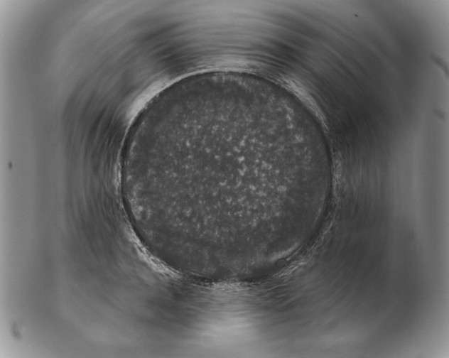 X0000102400944200808221845