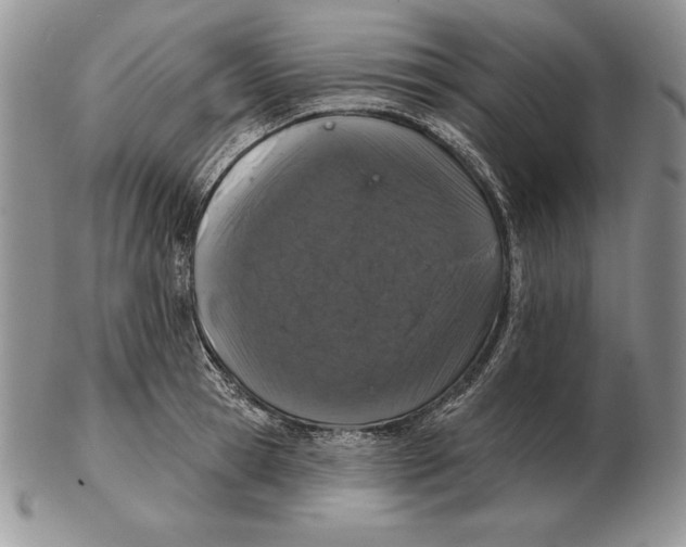 X0000102400945200808221845