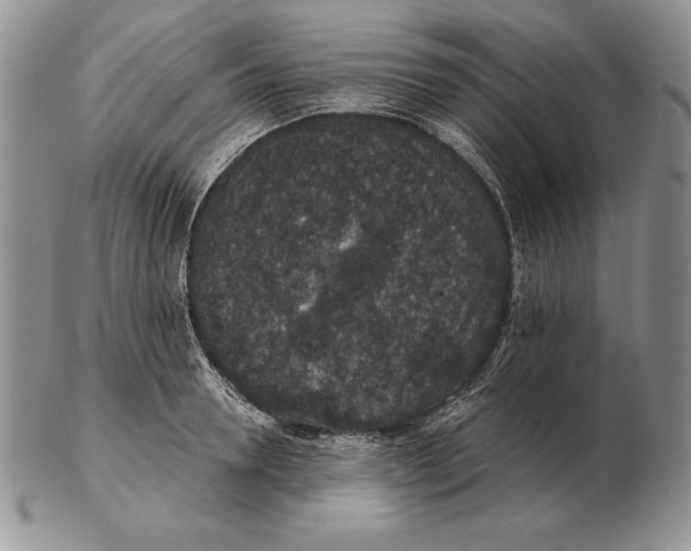 X0000102400946200808221845