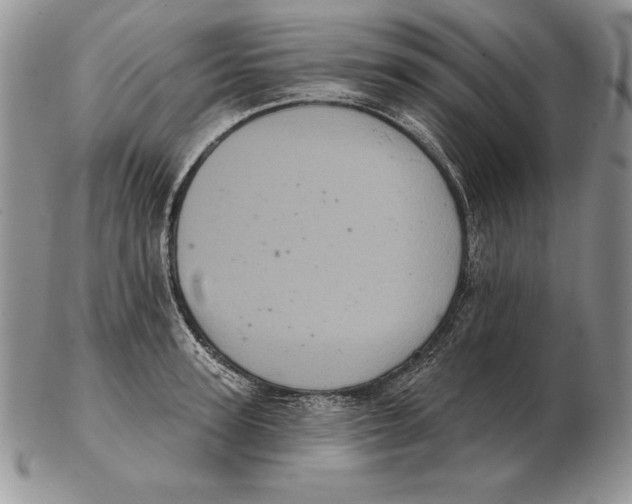 X0000102400947200808221845