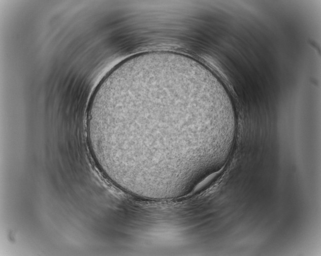 X0000102400948200808221845