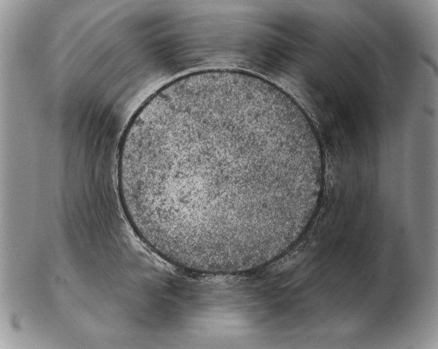 X0000102400950200808221845