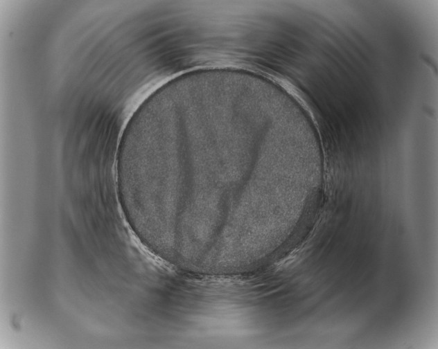 X0000102400951200808221845