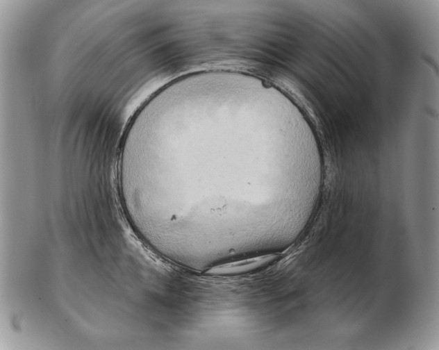 X0000102400952200808221845