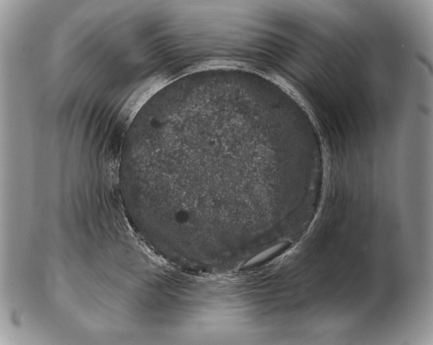 X0000102400953200808221845