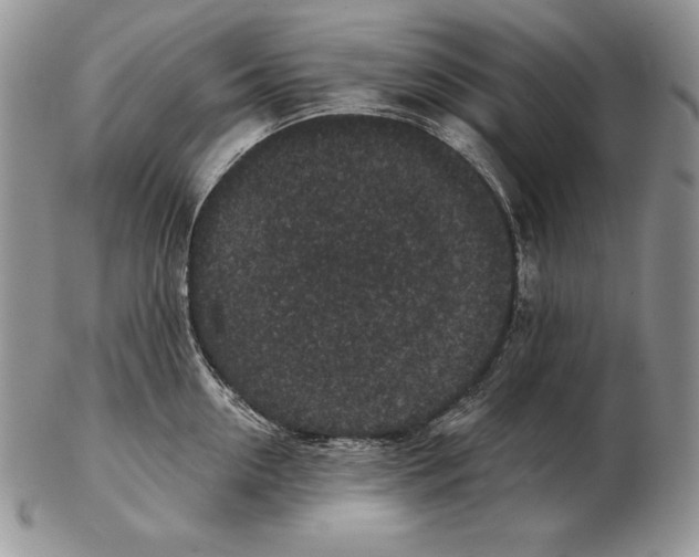 X0000102400954200808221845