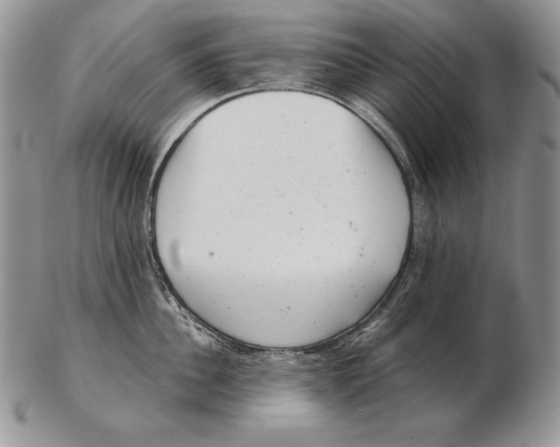 X0000102400956200808221845