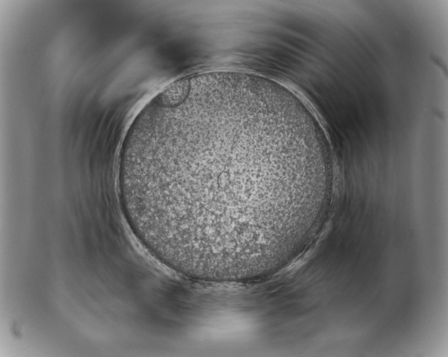 X0000102400957200808221845