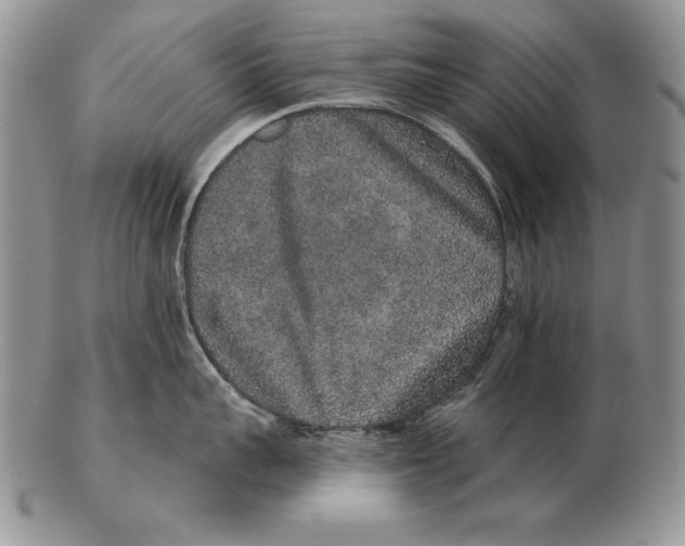 X0000102400959200808221845