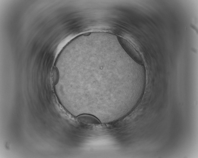 X0000102400960200808221845