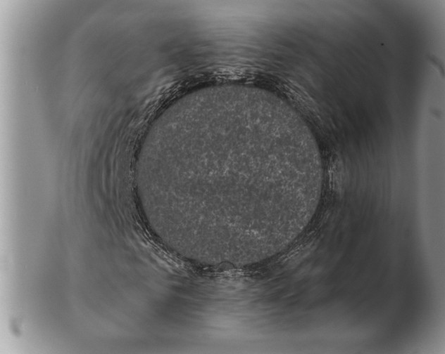 X0000102400961200808221844