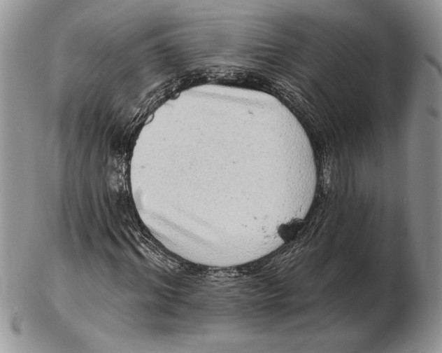 X0000102400964200808221844