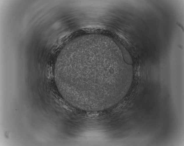 X0000102400965200808221844