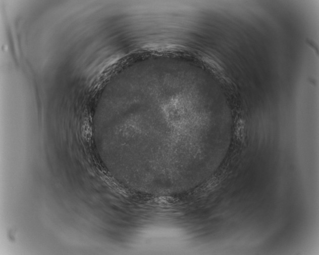 X0000102400966200808221844