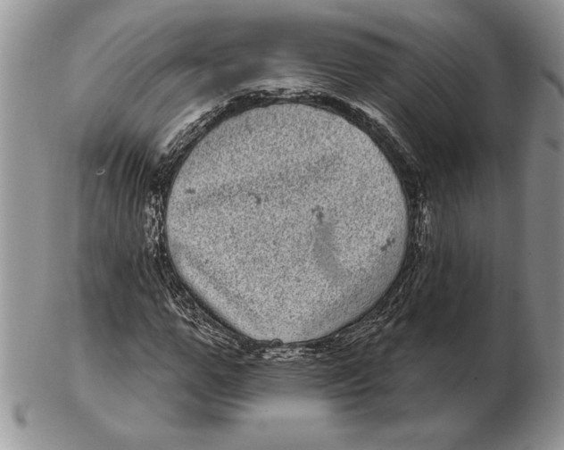 X0000102400967200808221844