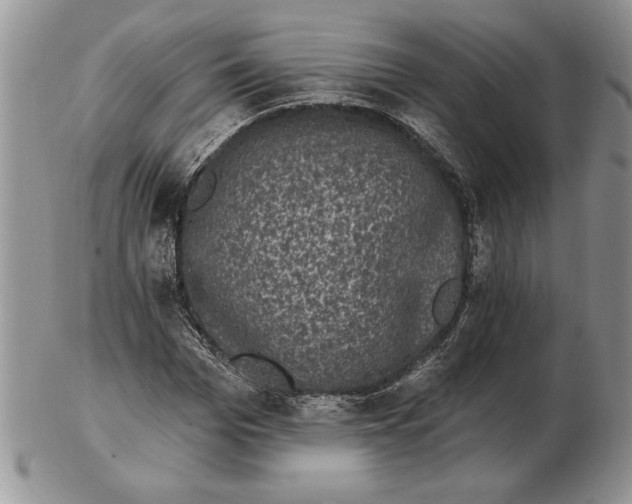 X0000102400969200808221844