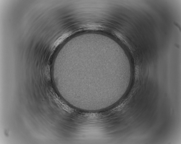 X0000102400970200808221844