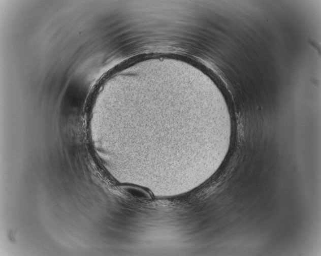 X0000102400971200808221844