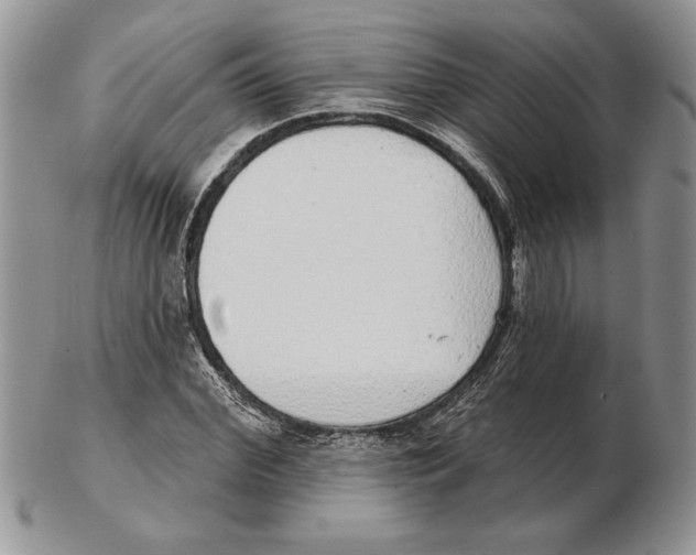 X0000102400972200808221844