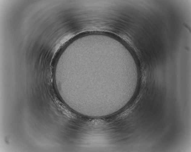 X0000102400974200808221844