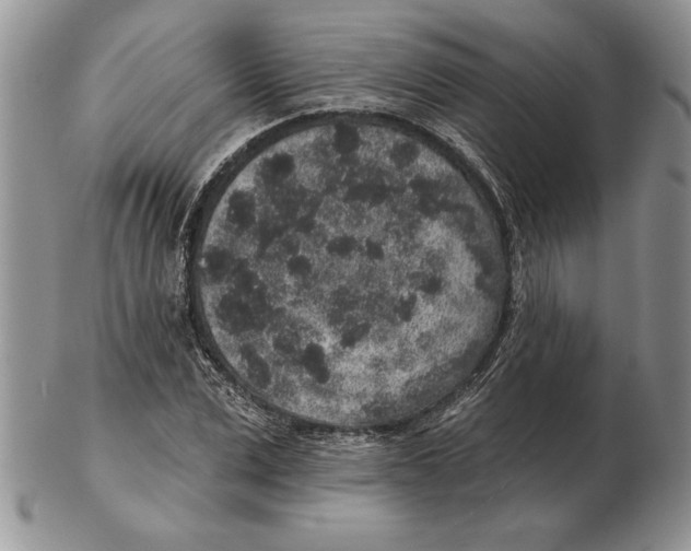 X0000102400975200808221844
