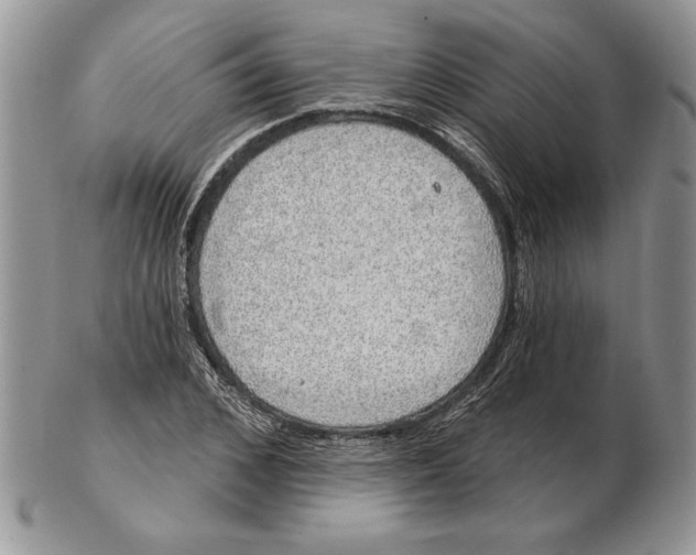 X0000102400976200808221844